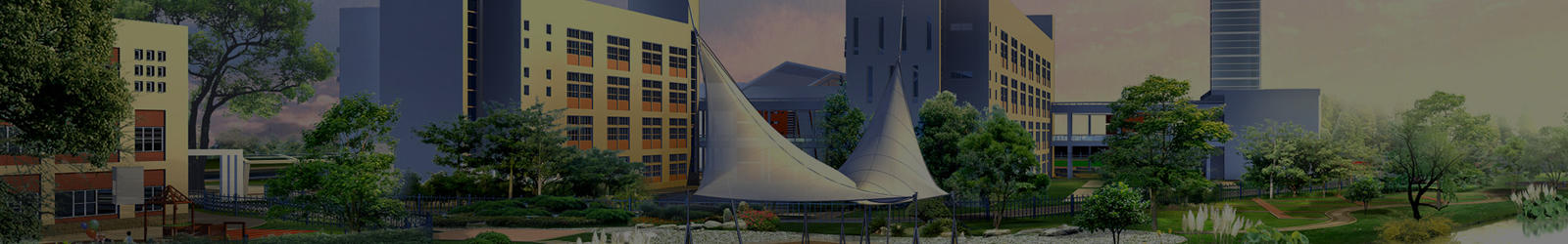 Thư Viện Hình Ảnh